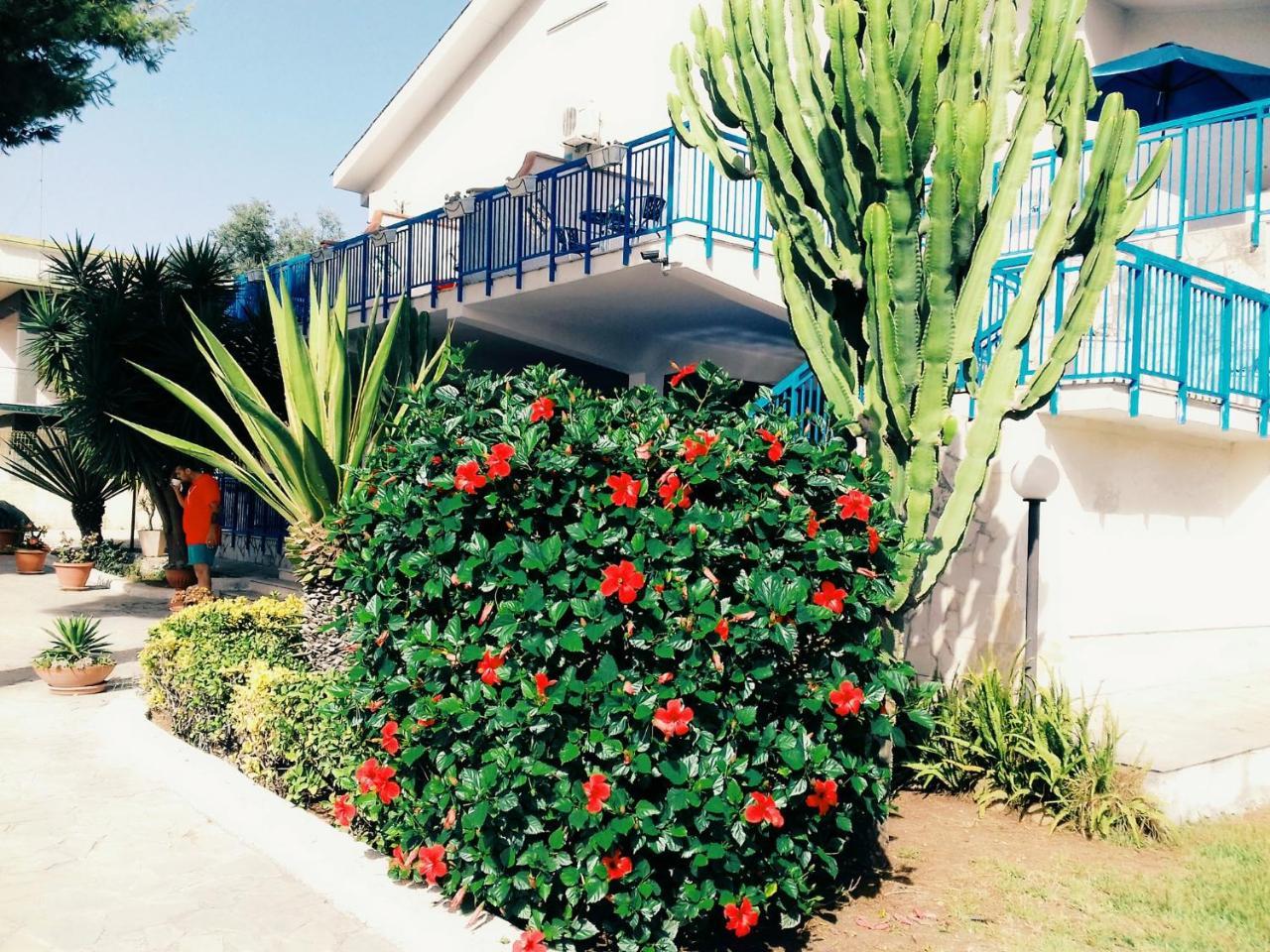 B&B Nido Colorato Fontane Bianche Zewnętrze zdjęcie